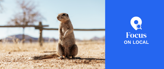 Close up view of little gopher outdoors