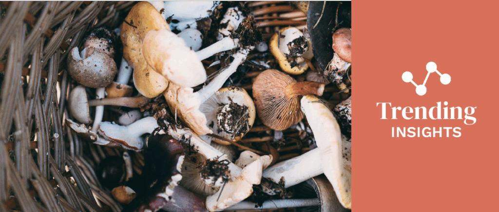 Food Forests Trending Insights